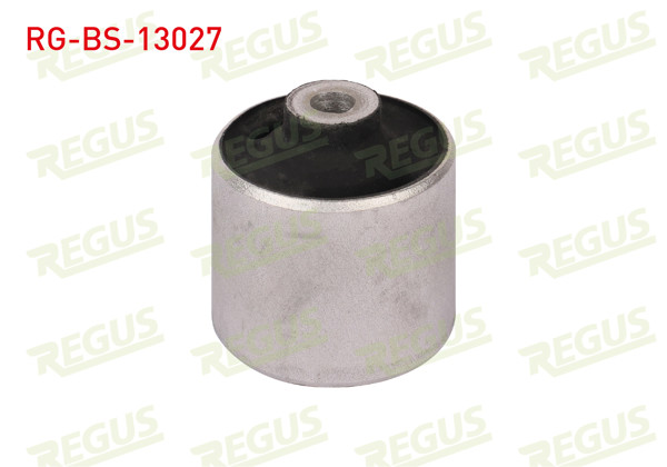 REGUS RG-BS-13027 | Salıncak Burcu Ön Sol-Sağ Alt Audi A6 (4F2,C6) 2.0 TDI 2004-2011