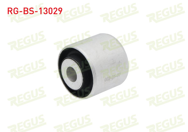REGUS RG-BS-13029 | Salıncak Burcu Ön Sol-Sağ Alt Büyük Audi A4 (8K2,B8) 1.4 TFSI 2007-2015