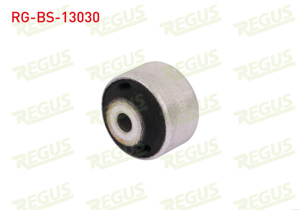 REGUS RG-BS-13030 | Salıncak Burcu Ön Sol-Sağ Alt Audi A6 (4F2,C6) 2.0 TDI 2004-2011