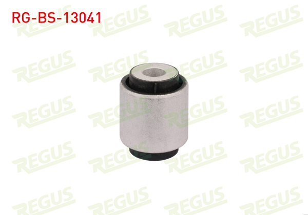 REGUS RG-BS-13041 | Denge Kol Burcu Arka Sol-Sağ Audi A4 (8E2,B6) 1.6 2000-2004