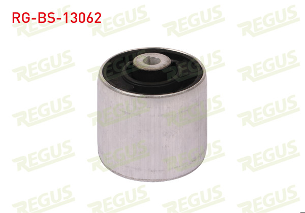 REGUS RG-BS-13062 | Salıncak Burcu Ön Sol-Sağ Hidrolik Audi A6 (4G2,C7) 2.0 TDI 2010 -