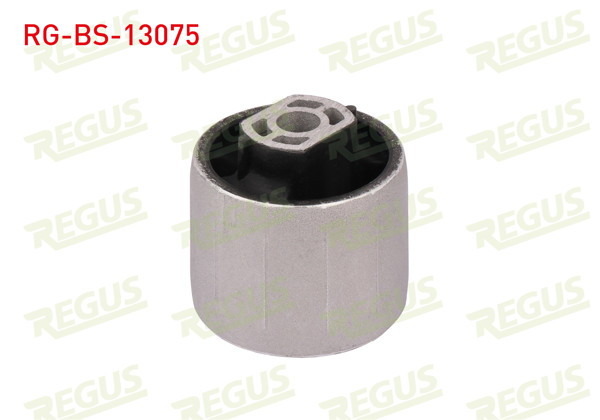 REGUS RG-BS-13075 | Salıncak Burcu Arka Sol-Sağ Volkswagen Jetta III (1K2) 1.6 TDI 2005-2010