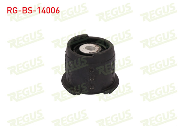 REGUS RG-BS-14006 | Travers Burcu Arka Sağ BMW 3 Serisi (E46) 316 İ 1998-2005