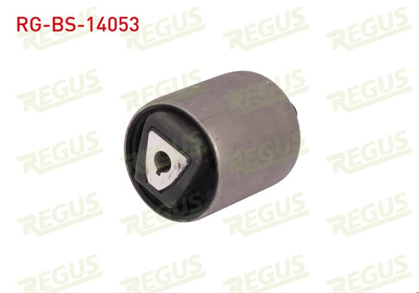 REGUS RG-BS-14053 | Salıncak Burcu Ön Sol-Sağ Alt BMW X5 (E70) 3.0 D 2007-2012