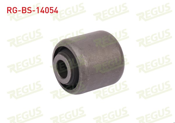 REGUS RG-BS-14054 | Salıncak Burcu Ön Sol-Sağ Alt BMW X5 (E70) 3.0 D 2007-2012