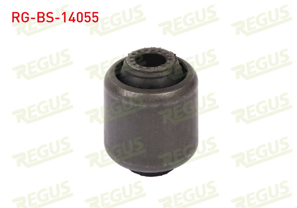 REGUS RG-BS-14055 | Salıncak Burcu Ön Sol-Sağ Alt Büyük BMW X5 (E70) 3.0 D 2007-2012
