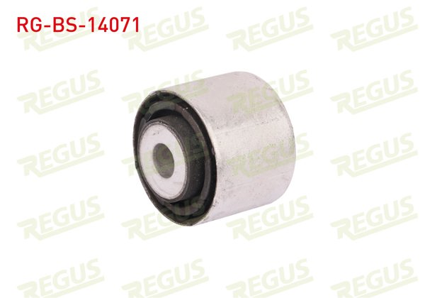 REGUS RG-BS-14071 | Salıncak Burcu Arka Sol-Sağ Alt BMW 5 Serisi (F10) 520 D 2010 -