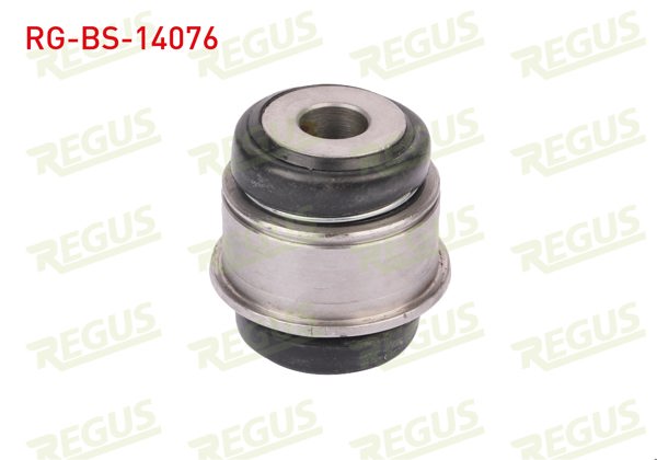 REGUS RG-BS-14076 | Salıncak Burcu Arka Sol-Sağ Alt BMW 5 Serisi (F10) 520 D 2010 -