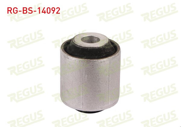 REGUS RG-BS-14092 | Denge Kol Burcu Arka Sol-Sağ Üst Küçük BMW 1 Serisi (F20,F21) 114 D 2010 -