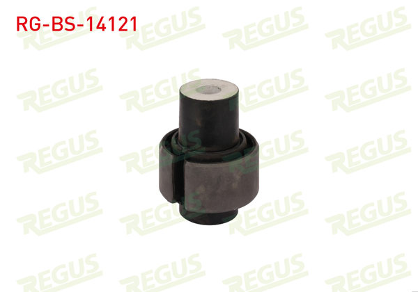 REGUS RG-BS-14121 | Denge Kol Burcu Arka Sol-Sağ BMW 5 Serisi (E60) 520 D 2003-2010