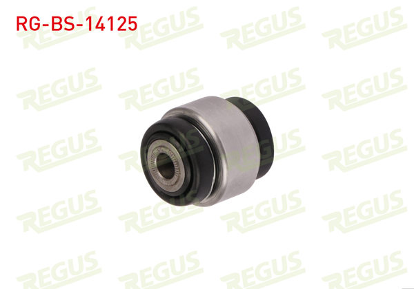 REGUS RG-BS-14125 | Salıncak Burcu Ön Sol-Sağ Ic BMW 3 Serisi (E90) 320 D 2005-2011