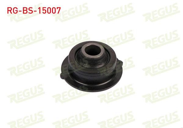 REGUS RG-BS-15007 | Salıncak Burcu Ön Sol-Sağ Alt Citroen C3 (Fc) 1.1İ 2002-2009