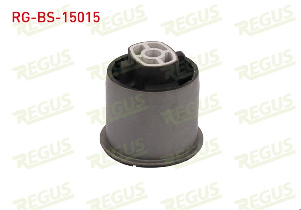 REGUS RG-BS-15015 | Travers Burcu Arka Sol-Sağ Citroen C3 II 1.2 VTI 2009-2016