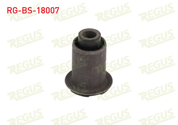 REGUS RG-BS-18007 | Salıncak Burcu Ön Sol-Sağ Alt Fiat Doblo (119,223) 1.3 JTD 2001-2010