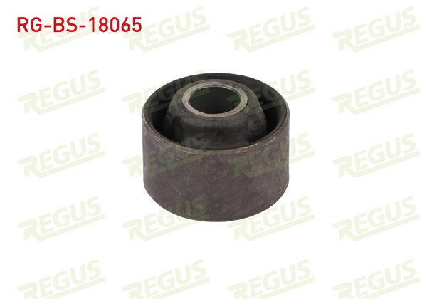 REGUS RG-BS-18065 | Amortisör Burcu Arka Sol-Sağ Üst Fiat Doblo (119,223) 1.2İ 2001-2010