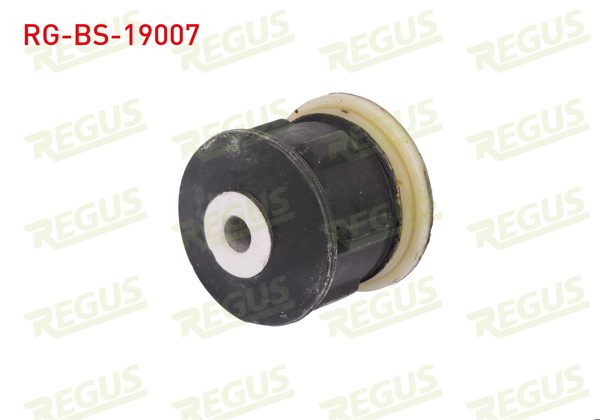 REGUS RG-BS-19007 | Salıncak Burcu Arka Sol-Sağ Alt Ford Fiesta IV 1.25İ 1996-2002