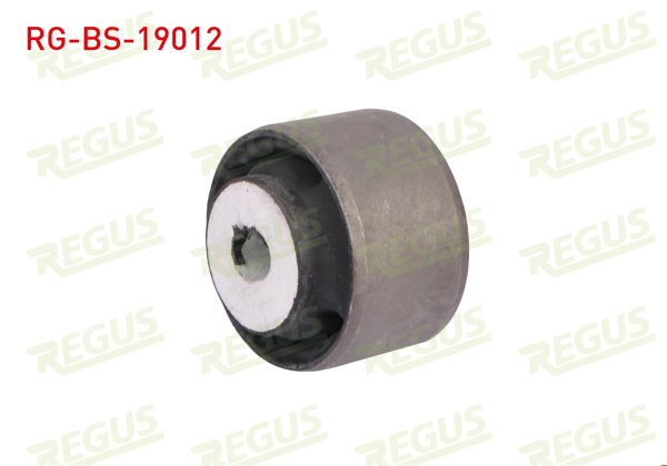 REGUS RG-BS-19012 | Salıncak Burcu Ön Sol-Sağ Alt Ford Fiesta VI 1.25İ 2008-2012