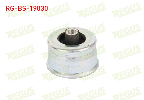 REGUS RG-BS-19030 | Salıncak Burcu Ön Sol-Sağ Alt Ford Mondeo III 1.6 TDCI 2000-2007