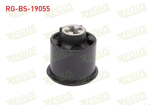 REGUS RG-BS-19055 | Travers Burcu Arka Sol-Sağ Ford Fiesta V 1.25İ 2001-2008