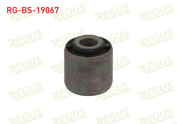 REGUS RG-BS-19067 | Denge Kol Burcu Arka Sol-Sağ Ford Focus I (Daw,Dbw) 1.4İ 16V 1998-2004