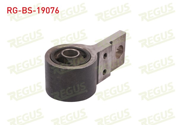 REGUS RG-BS-19076 | Salıncak Burcu Ön Sol-Sağ Alt Ford Fiesta V 1.25İ 2001-2008