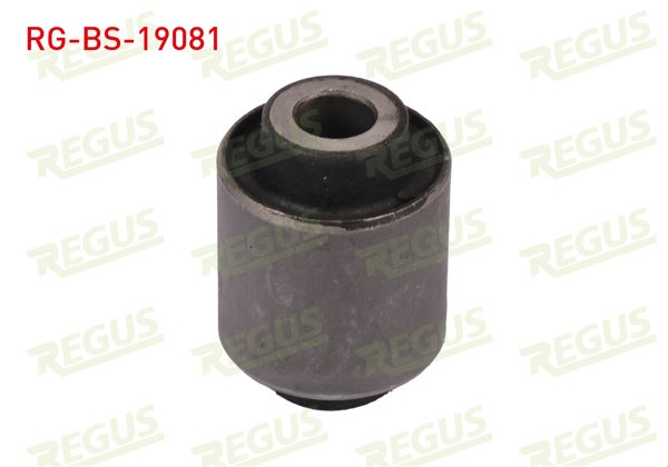 REGUS RG-BS-19081 | Denge Kol Burcu Ön Sol-Sağ Ford Fusion (Ju) 1.4 TDCI 2002-2010