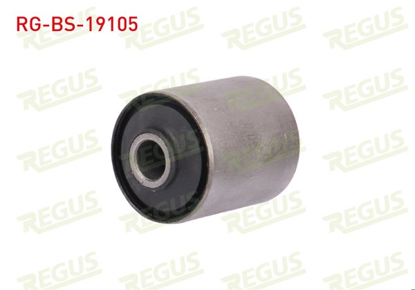 REGUS RG-BS-19105 | Salıncak Burcu Arka Sol-Sağ Ford Transit (Fa_ _) 2.4 TDCI 2000-2006