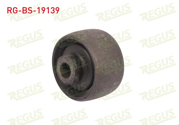 REGUS RG-BS-19139 | Salıncak Burcu Büyük Ford Ikon 1992-2007