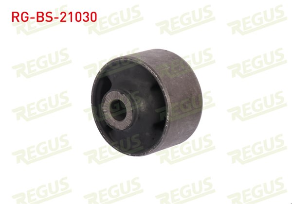 REGUS RG-BS-21030 | Salıncak Burcu Ön Sol-Sağ Alt Hyundai Accent Era 1.4İ 16V 2006-2012