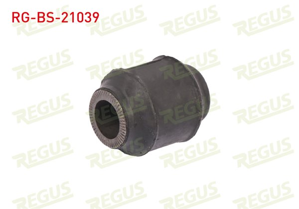 REGUS RG-BS-21039 | Denge Kol Burcu Arka Sol-Sağ Alt Hyundai Accent Admıre 1.3 2003-2006