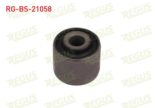 REGUS RG-BS-21058 | Denge Kolu Burcu Arka Sol-Sağ Hyundai Sonata VI 2.0 CRDI 2010-2014