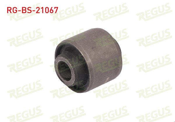 REGUS RG-BS-21067 | Salıncak Burcu Arka Hyundai Ix35 1.6 GDI 2010-/ Tucson 2.0 CRDI 2015 -