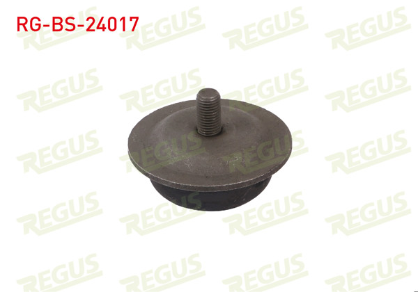 REGUS RG-BS-24017 | Denge Kolu Burcu Sol-Sağ On Kia Sorento I (Jc) 2002 -