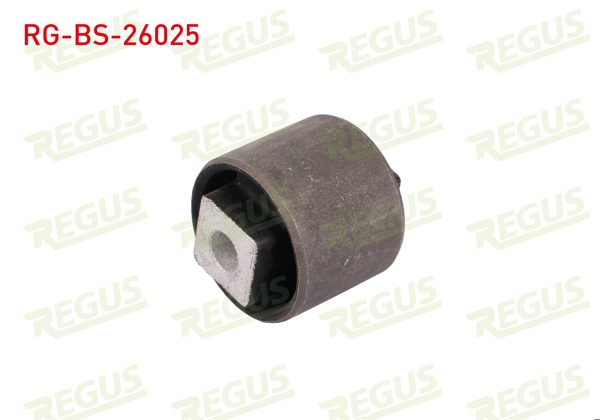 REGUS RG-BS-26025 | Denge Kol Burcu Arka Sol-Sağ Land Rover Freelander (Ln) 1.8 16V 1998-2007