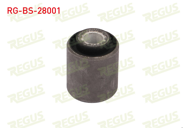 REGUS RG-BS-28001 | Denge Kol Burcu Arka Sol-Sağ Mercedes 190 (W201) 2.0 1982-1993