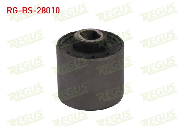 REGUS RG-BS-28010 | Salıncak Burcu Ön Sol-Sağ Alt Mercedes C Class (W203) C 180 2000-2006