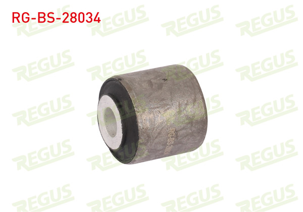 REGUS RG-BS-28034 | Denge Kol Burcu Arka Sol-Sağ Mercedes 190 (W201) 2.0 1982-1993