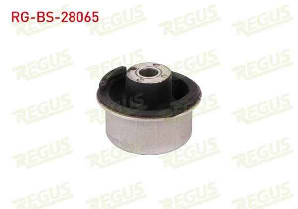 REGUS RG-BS-28065 | Salıncak Burcu Ön Sol-Sağ Alt Mercedes Vaneo (414) 1.6 2002-2005