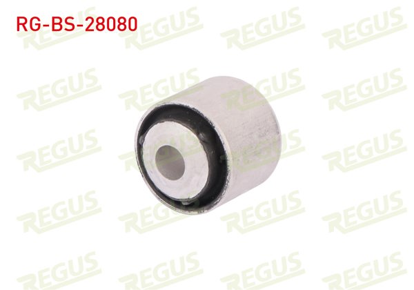 REGUS RG-BS-28080 | Salıncak Burcu Arka Sol-Sağ Alt Mercedes S Serisi (W221) S 320 CDI 2005-2013