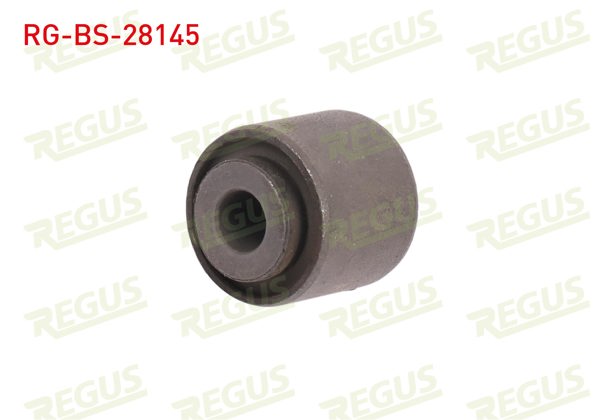 REGUS RG-BS-28145 | Denge Kol Burcu Arka Sol-Sağ Mercedes E Serisi (W211) E 220 CDI 2002-2008