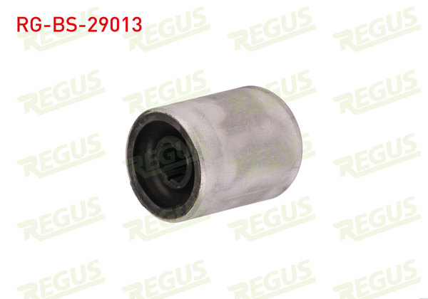 REGUS RG-BS-29013 | Denge Kolu Burcu Sol-Sağ On BMW 2 (F45) 214 D 2014-2018