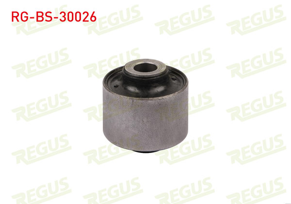 REGUS RG-BS-30026 | Denge Kolu Burcu Sol-Sağ Arka Mitsubishi Pajero Serısııc (V2_W) 2001 -