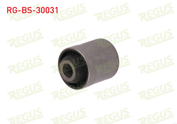 REGUS RG-BS-30031 | Salıncak Denge Kolu Burcu Üst Arka Mitsubishi Lancer VII Sportback (Cxa) 2003-2013