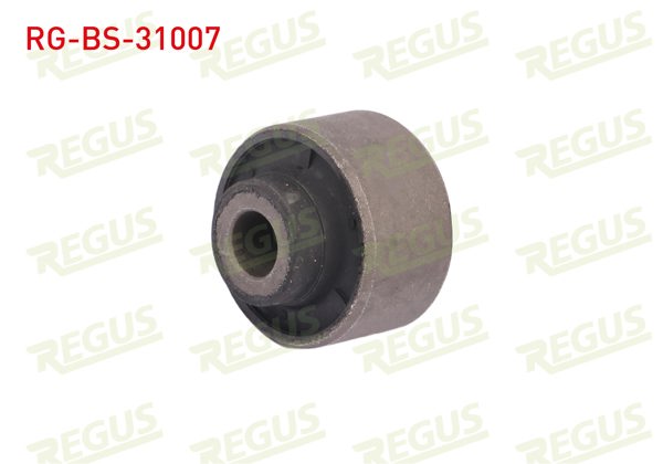 REGUS RG-BS-31007 | Salıncak Burcu Ön Sol-Sağ Alt Nissan Juke 1.5 DCI 2010 -