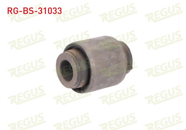 REGUS RG-BS-31033 | Z-Rot Burcu Arka Sol-Sağ Nissan Qashqai (J10) 1.5 DCI 2007-2014