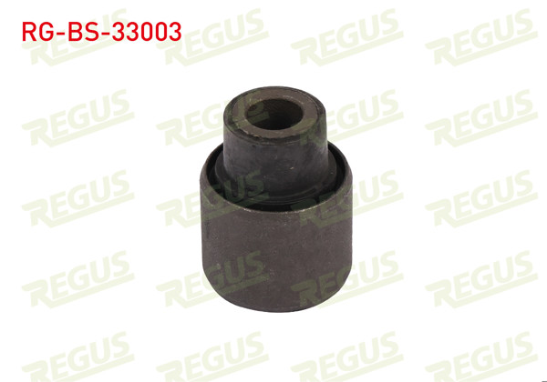 REGUS RG-BS-33003 | Salıncak Burcu Ön Sol-Sağ Alt Peugeot 106 II 1.4İ 1996-2002