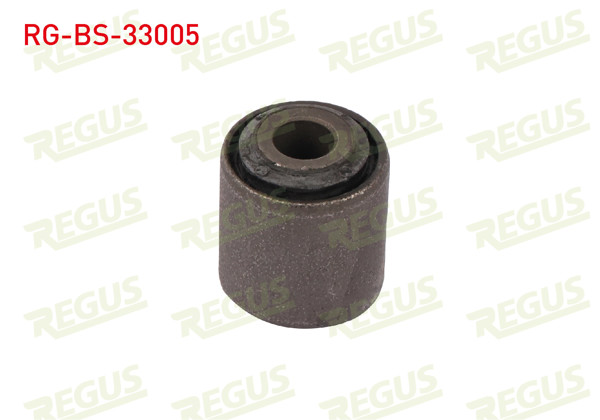 REGUS RG-BS-33005 | Salıncak Burcu Ön Sol-Sağ Alt Peugeot 205 1.4 1983-1998