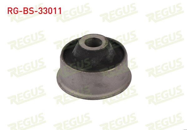 REGUS RG-BS-33011 | Salıncak Burcu Ön Sol-Sağ Alt Peugeot 206 (2A / C) 1.4İ 1998-2006