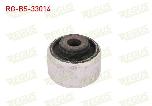 REGUS RG-BS-33014 | Salıncak Burcu Ön Sol-Sağ Alt Peugeot 206 (2A / C) 1.4İ 1998-2006