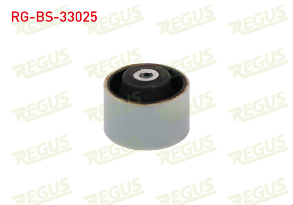 REGUS RG-BS-33025 | Motor Takozu Burcu Citroen Berlingo (Mf) 07 / 1996 -